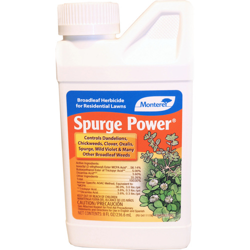 Monterey Spurge Power 8-oz