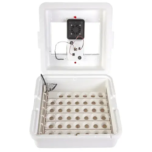 Digital Incubator Circulated-Air with Egg Turner