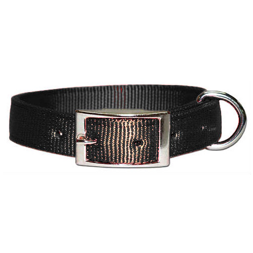 Double (2-Ply) Nylon Hunt Collar Black 2" x 27"