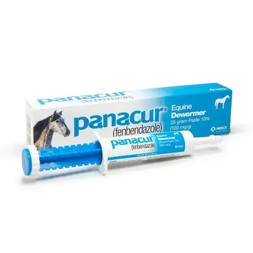 SAFEGUARD 001-069273 Panacur Dewormer Horse Paste - 10%, 25mg