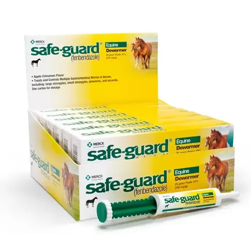 SAFEGUARD 001-809814 Safe-Guard Equine Paste 25-Gram (12-Count Tubes)