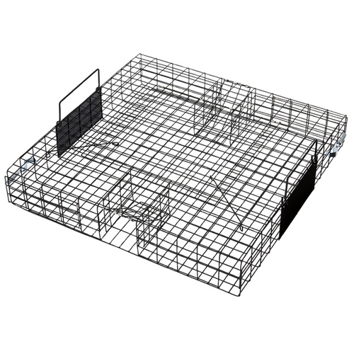 Animal Supplies International 05811470 Squirrel Trap