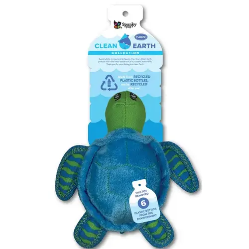 Clean Earth Turtle - Small