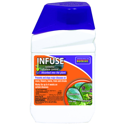 Bonide Products Infuse Conc Pt - pack of 12