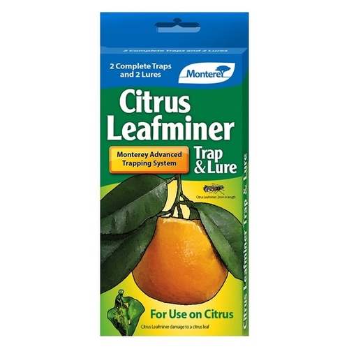 Monterey Lawn & Garden LG8920 Monterey Citrus LeafMiner Trap & Lure