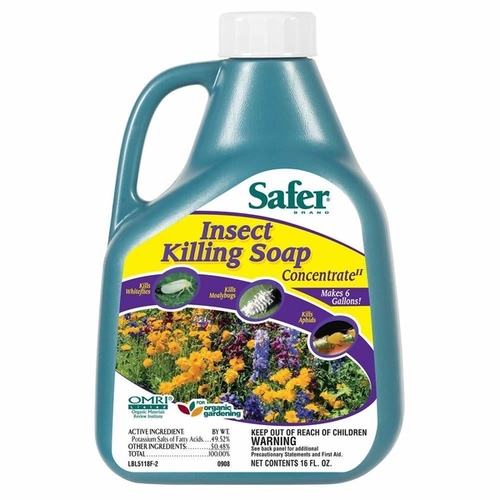 Safer Brand 5118-6-XCP6 Insect Killing Soap Concentrate Organic Liquid 16 oz - pack of 6