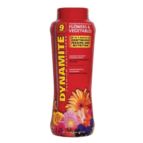 Dynamite 813180 Dynamite Flower & Vegetable Plant Food 13-13-13 2lb