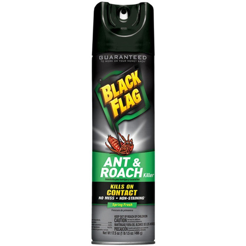 Black Flag Ant & Roach Killer Aerosol Spray