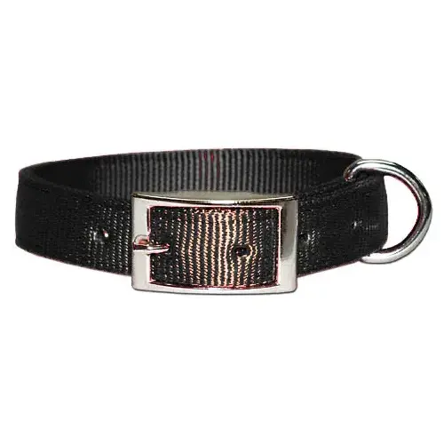 Double (2-Ply) Nylon Hunt Collar 2" x 21"