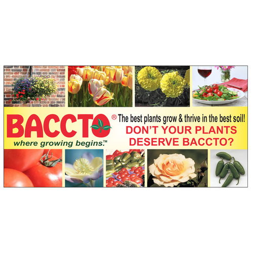 BACCTO 13730063 Promotional Baccto Color Banner