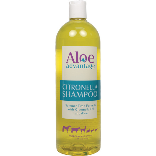 Glo-Marr 077-00418 ALOE ADVANTAGE CITRONELLA SHAMPOO 33.8-OZ