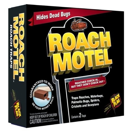 11020 Roach Motel, Solid - pack of 24