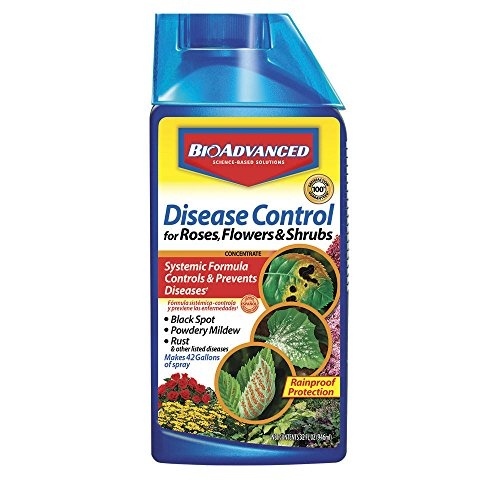 Disease Control for Roses, Flowers, & Shrubs - 32 oz.