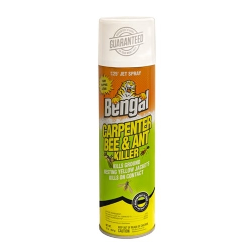 Carpenter Bee and Ant Killer, Spray Application, 16 oz White Opaque