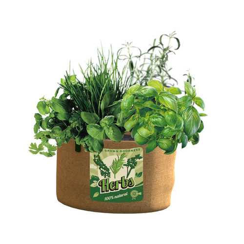 Panacea 5 Gallon Herbs Grow Bag