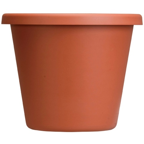 Classic Pot - Color Clay 6" Diameter