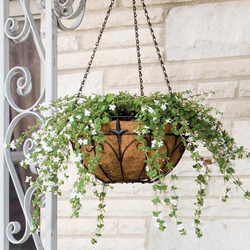 Panacea 14" Black Round Classic Finial Sytle Hanging Basket