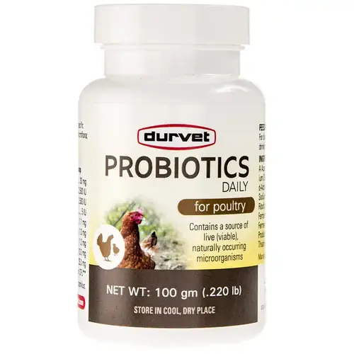 Probiotics Daily Poultry 100-GM