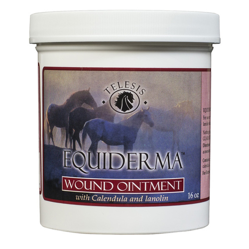 CALENDULA & NEEM WOUND OINTMENT FOR HORSES - 16OZ