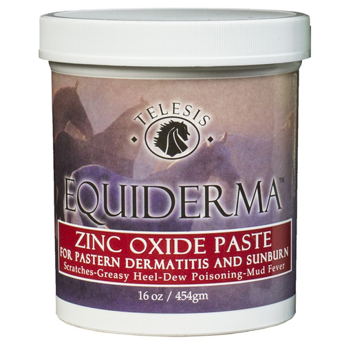 Equiderma 011-100076 ZINC OXIDE PASTE - 16OZ