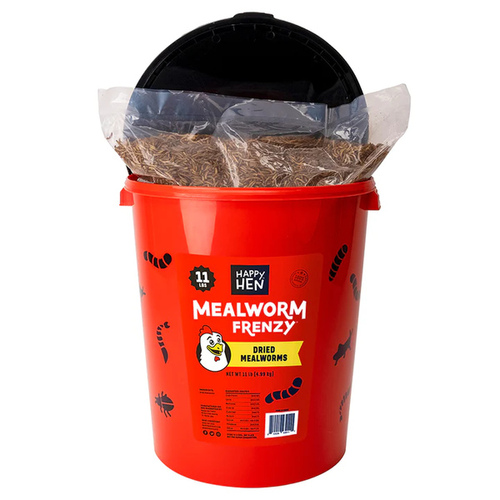 Mealworm Frenzy Bucket - 11 pounds