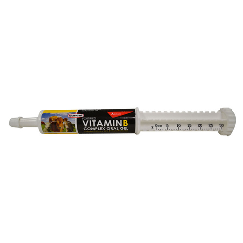 Vitamin B Complex Oral Gel 30-ML