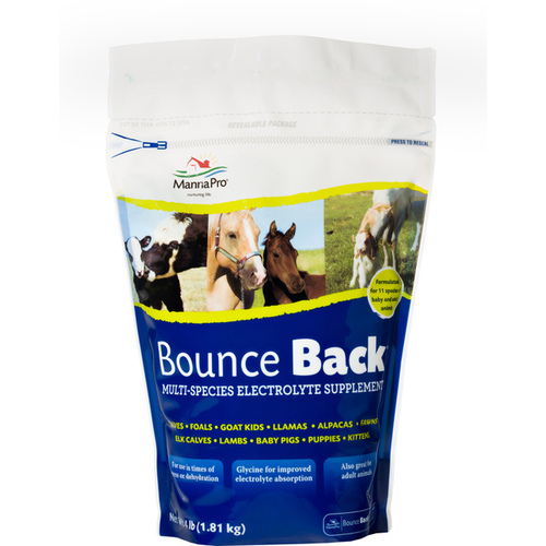 Bounce Back Multi Species Electrolyte Supplement 4LB Bag