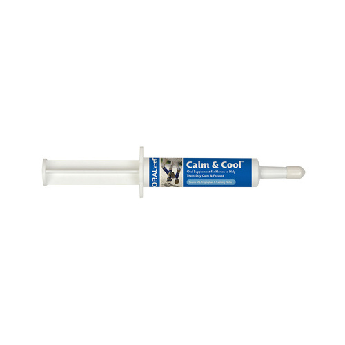 Oralx Corporation 069-70064 Calm & Cool Paste 34-gm Syringe