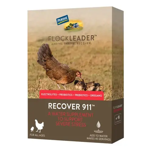 Flockleader RECOVER 911 Electrolyte Probiotic Oregano Severe Stress Supplements for Chickens 8-oz