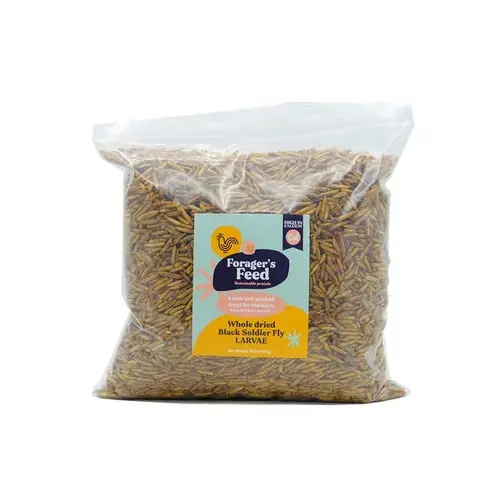 Forager's Feed 001-656026 BLACK SOLDIER FLY LARVAE DRY 10LBS - VIVOTEIN/FORAGERS