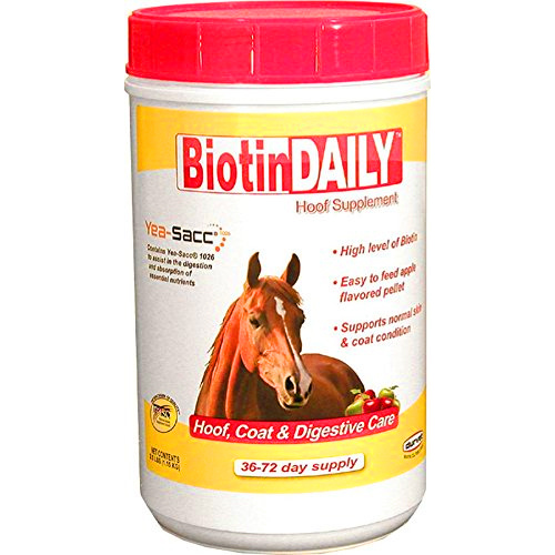 BIOTINDAILY DIGESTIVE SUPPLEMENT 2.5-LB