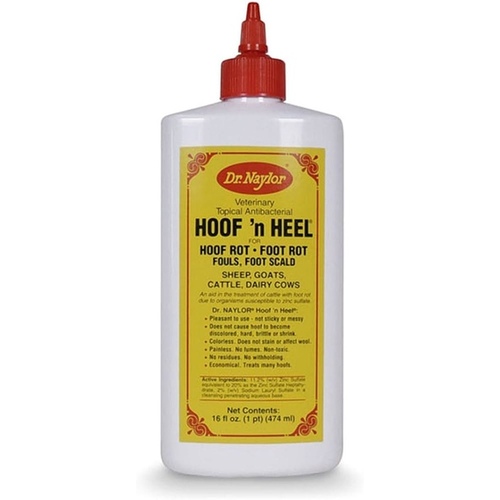 H W NAYLOR HHP Hoof N' Heel Livestock Ointment, 16-oz.