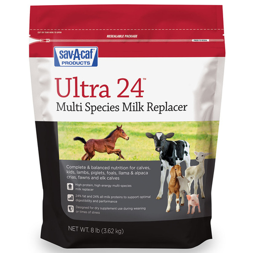 Sav A Caf 01-7428-0217 Ultra 24 Multi-Purpose Milk Replacer 8-LB Bag