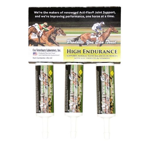 COX HIGH ENDURANCE ELECTROLYTES - 60 ML PASTE