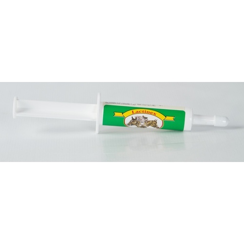 Oralx Corporation 069-70078 Oralx Lactinex 34-gm Tube