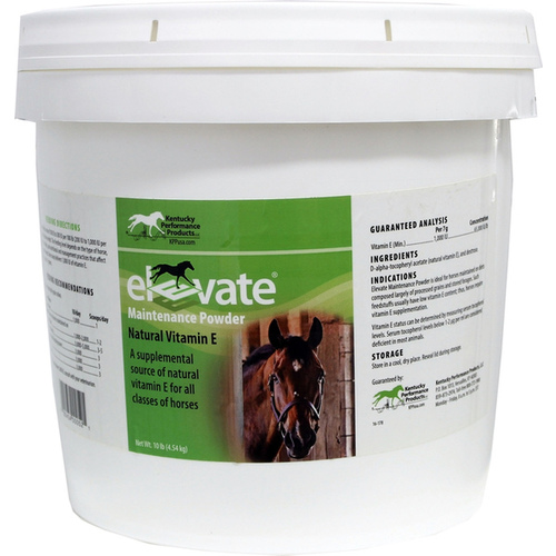 Elevate Maintenance Powder 10-LB