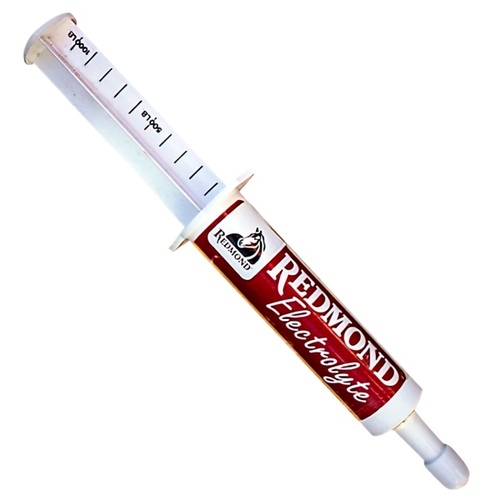 Redmond Minerals, Inc / Trophy Rock 331383 Redmond Electrolyte Syringe - Peppermint