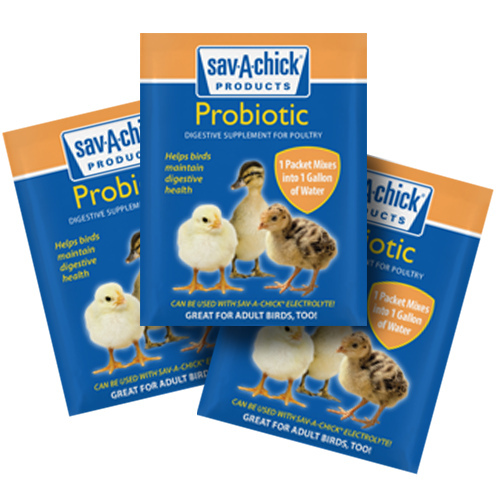 Sav-A-Chick Probiotic Supplement 0.17-oz pack of 3