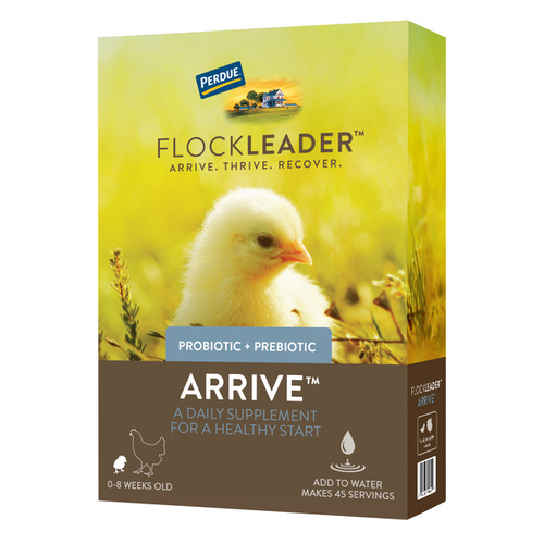 Flockleader ARRIVE Prebiotic Probiotic Supplement for Chickens 0-8 Weeks 8-oz