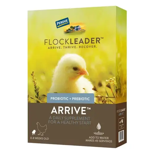 Perdue Agribusiness 001-81050 Flockleader ARRIVE Prebiotic Probiotic Supplement for Chickens 0-8 Weeks 8-oz