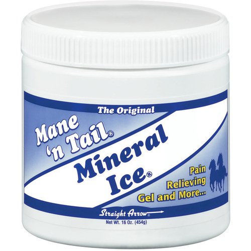 STRAIGHT ARROW PRODUCTS INC 300106 Mane 'n Tail Mineral Ice Pain Relief for Horses 16-oz