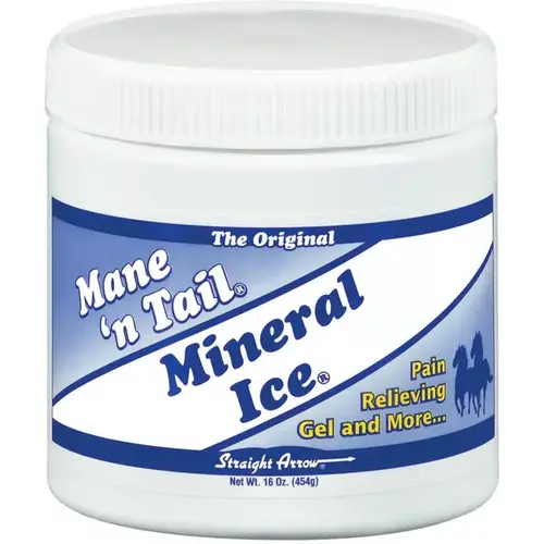 Mane 'n Tail Mineral Ice Pain Relief for Horses 16-oz