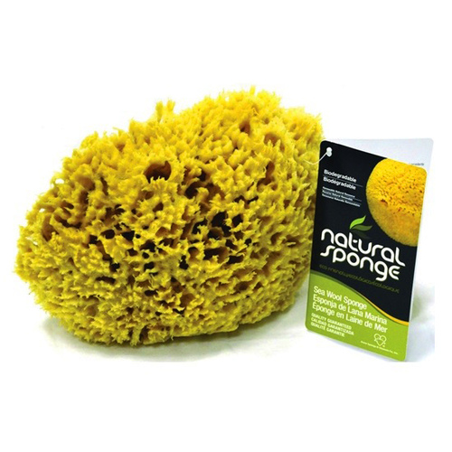 Sea Sponge, 6 in L, 5 in W, Natural Wool