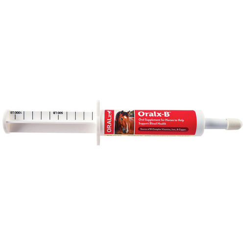 Oralx Corporation 069-70086 Oralx-B Oral Supplement for Horses 34-gm Syringe