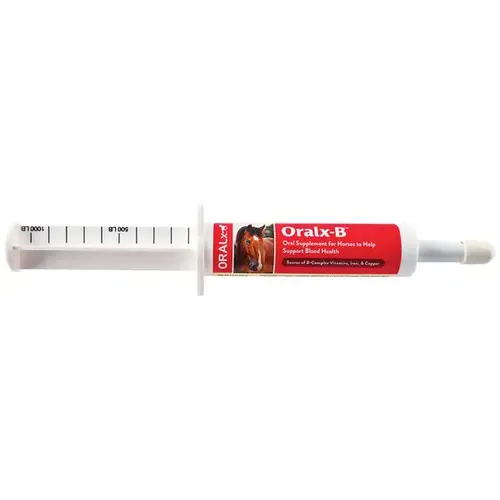 Oralx-B Oral Supplement for Horses 34-gm Syringe