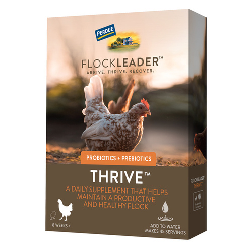 Perdue Agribusiness 001-81051 Flockleader THRIVE Prebiotic Probiotic Supplement for Chickens 8+ Weeks