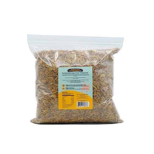 BLACK SOLDIER FLY LARVAE DRY 1LB - FORAGES FEED