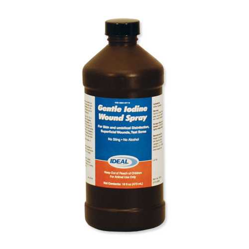 Gentle Iodine Wound, Liquid, Dark Brown, Pungent, Slightly Metallic, Sulfur, 16 oz