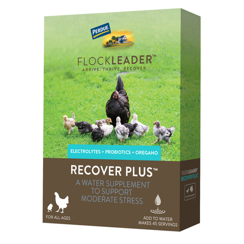 Flockleader RECOVER PLUS Electrolyte Probiotic Oregano Moderate Stress Supplements for Chickens 8-oz