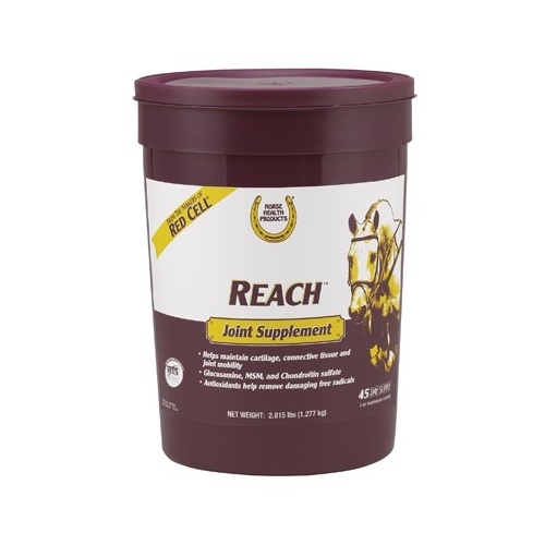 CENTRAL LIFE SCIENCE 100505348 Reach Joint Supplement 2.8-LB
